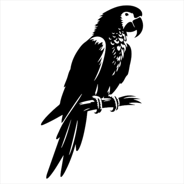 Vector de arte y gráfico de vector de color negro silueta de color blanco fondo