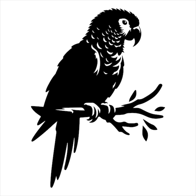 Vector de arte y gráfico de vector de color negro silueta de color blanco fondo
