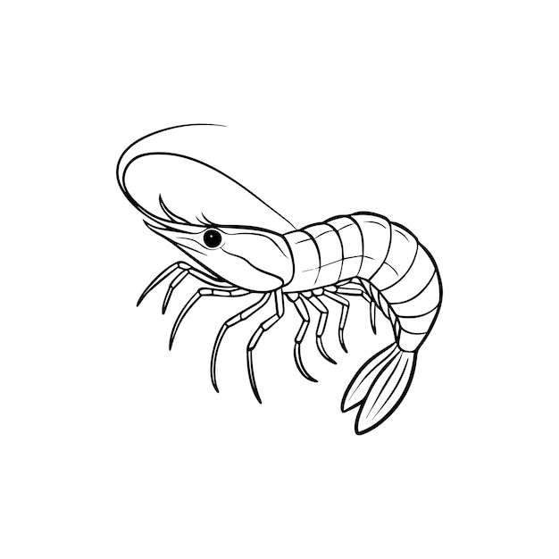 Vector de arte de línea de camarón