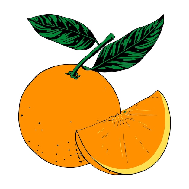Vector de arte de la línea de la fruta naranja