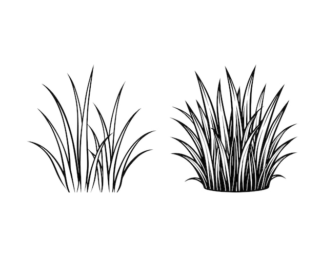 Vector de arte de la línea de hierba