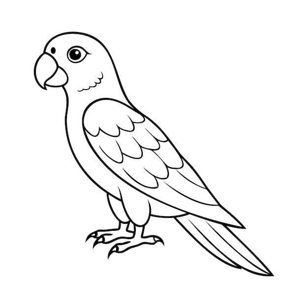 Un vector de arte de línea negra y blanca de loro