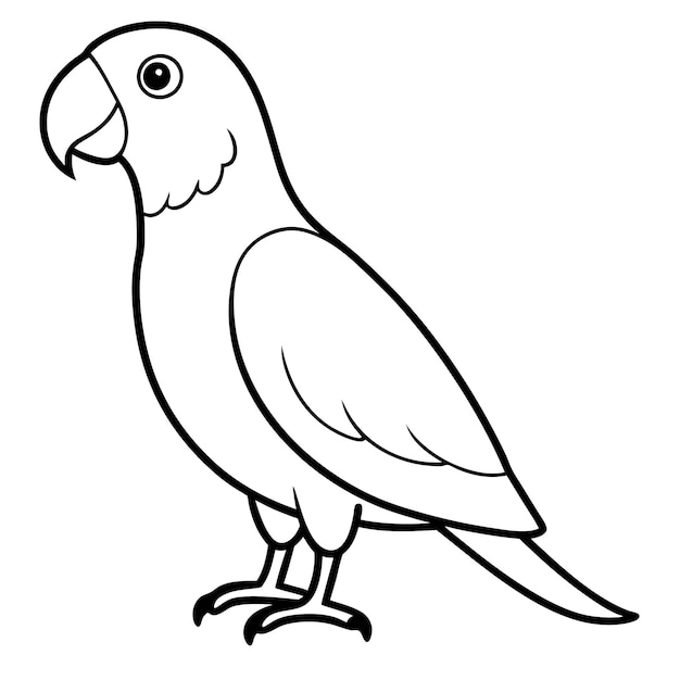 Vector de arte de la línea de pie del loro gris africano