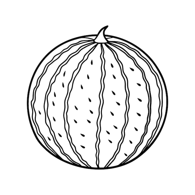 Vector de arte de línea de sandía para conceptos de diseño minimalista y moderno