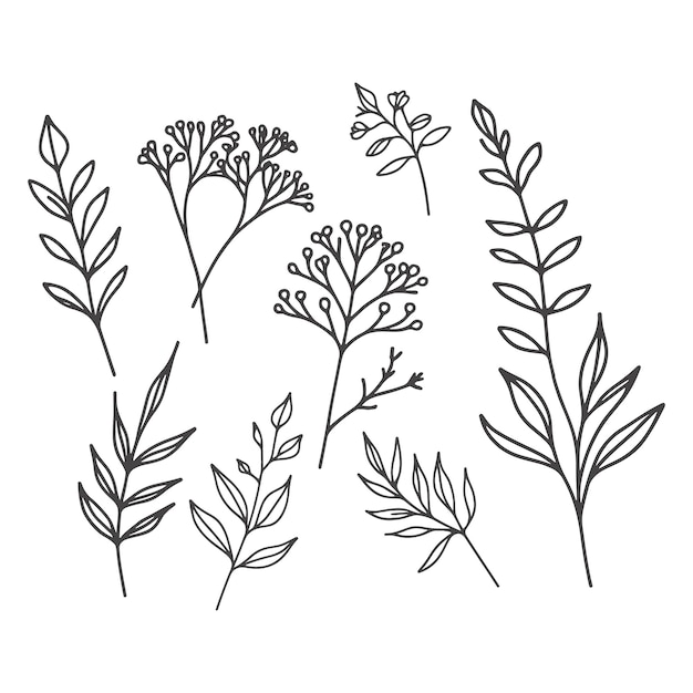 Vector de arte de líneas botánicas florales minimalistas dibujadas a mano