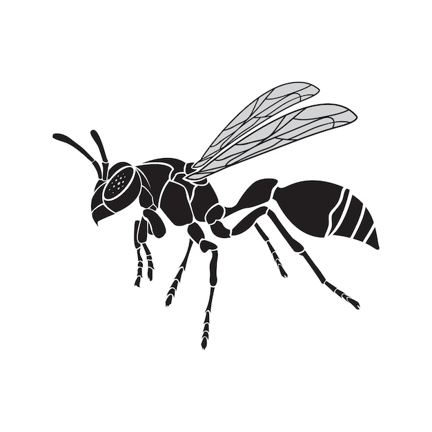 vector, de, un, avispa, en, un, fondo blanco, insecto, animal