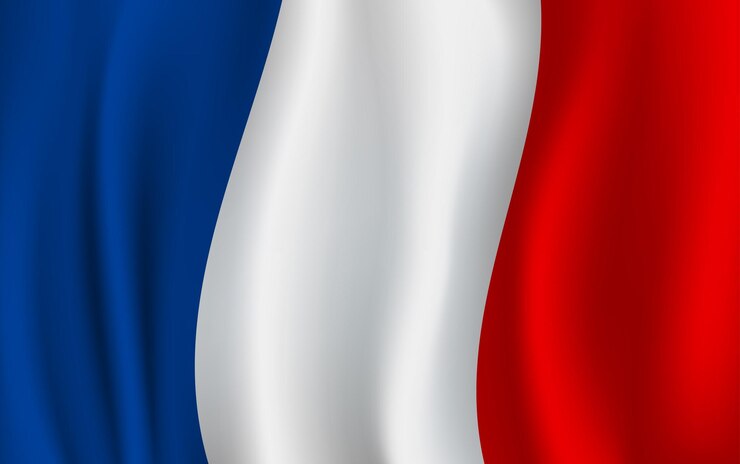 Vector vector bandera de francia símbolo nacional francés