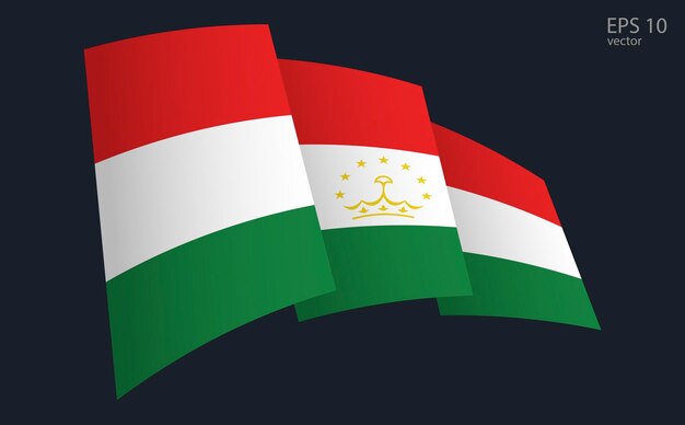 Vector vector de la bandera de tayikistán símbolo de la bandera nacional elemento de diseño de la bandera