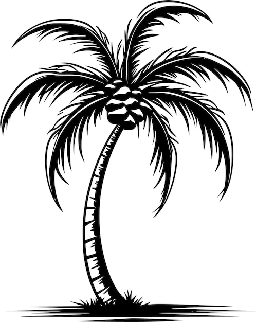 Vector blanco y negro de la palmera