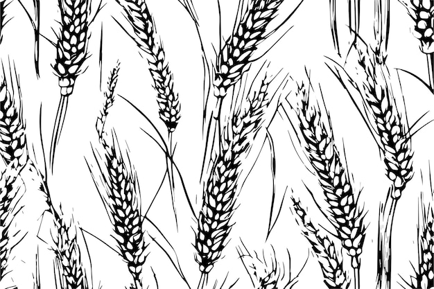vector blanco y negro de textura de planta de trigo
