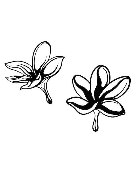 vector bonito diseño de flores y ramitas