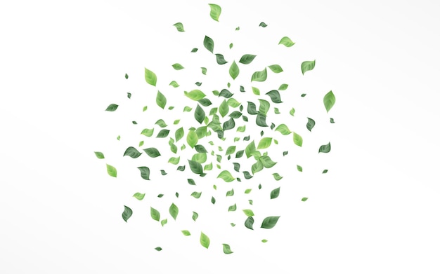 Vector de bosque de follaje verde Fondo blanco