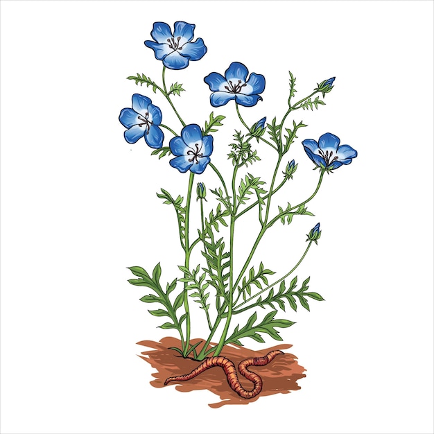 Vector botánico mano dibujo hierbas amp flor silvestre en estilo retro