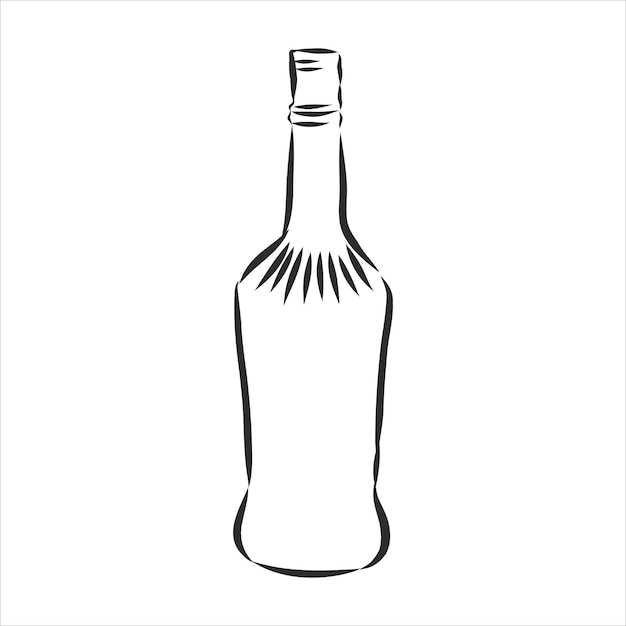 Vector de botellas de dibujo. Vector de botellas de dibujo. botella de vidrio, ilustración de dibujo vectorial