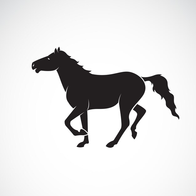 Vector de caballo aislado sobre fondo blanco Animales salvajes Fácil ilustración vectorial en capas editable