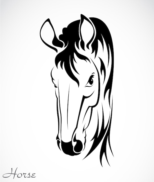 Vector de un caballo sobre fondo blanco Fácil ilustración vectorial editable en capas