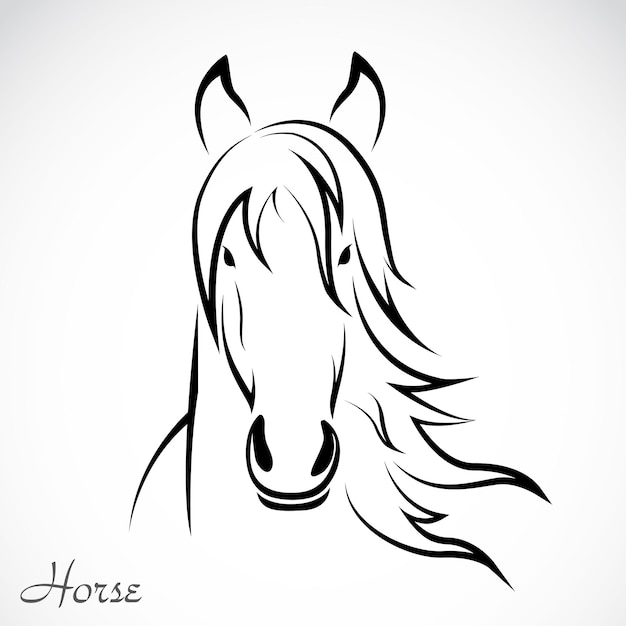 Vector de un caballo sobre fondo blanco Ilustración vectorial en capas fácil de editar