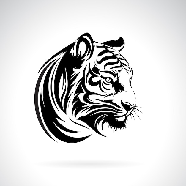 Vector de cabeza de tigre sobre fondo blanco Ilustración vectorial en capas editable fácil Animales salvajes