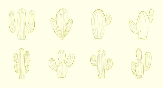 Vector de cactus de arte de línea dibujado a mano aislado en ilustración de fondo blanco