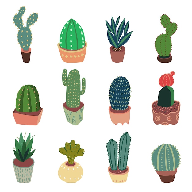 vector cactus lindo pintura verde pequeñas plantas