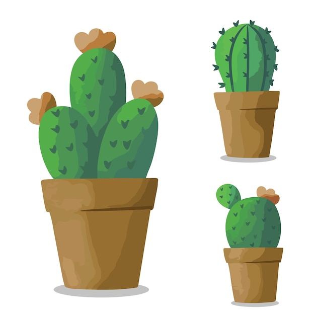 Vector de cactus muy bonito