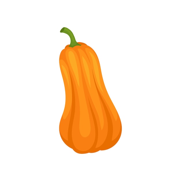 Vector de calabaza naranja ilustración aislada sobre fondo blanco