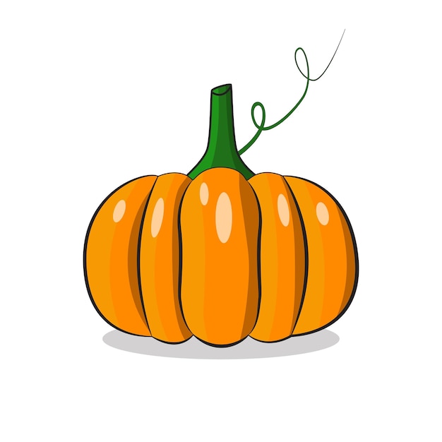 vector de calabaza vector de calabaza plana