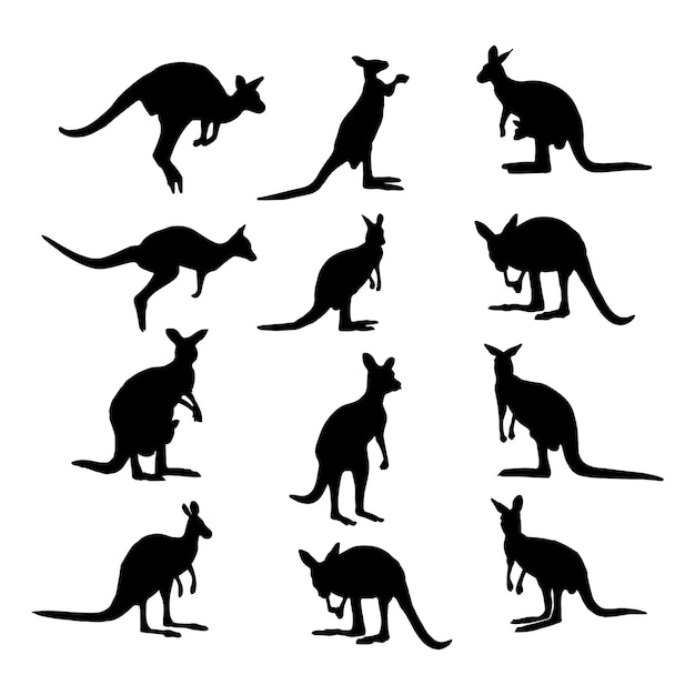 Vector de canguro aislado sobre fondo blanco