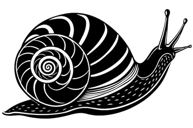 Vector vector de caracol de mar