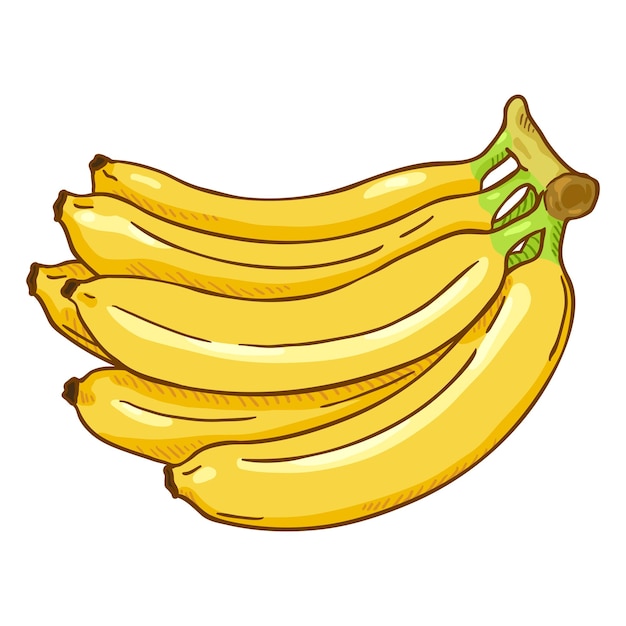 Vector vector, caricatura, amarillo, racimo, de, plátanos