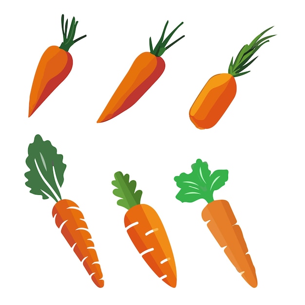 El vector Carrot Big Bundle es el mejor clip art de la zanahoria Ilustración de dibujos animados Con fondo blanco aislado