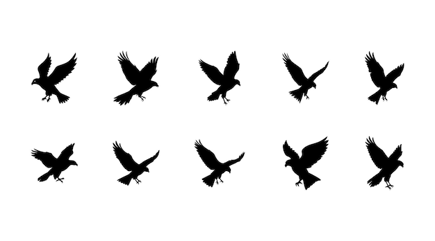 Vector de caza volador de siluetas de pájaros de águila y halcón
