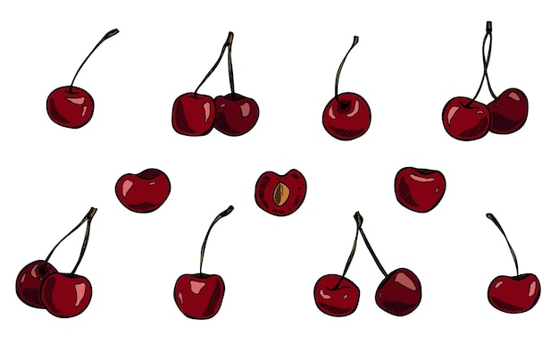 Vector vector cereza clipart mano dibujada baya icono conjunto de ilustración de fruta