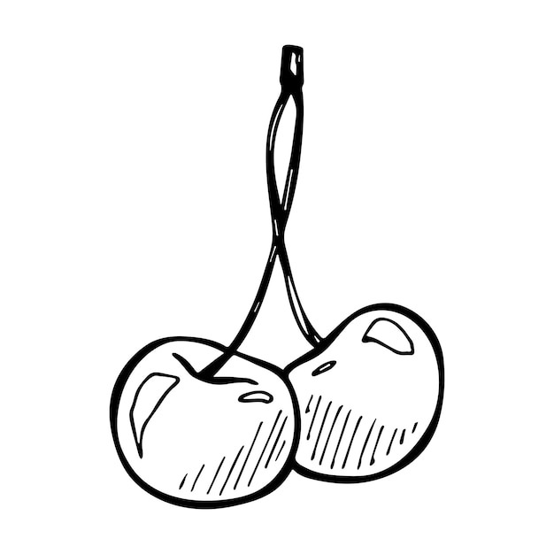 Vector cereza clipart mano dibujada baya icono fruta ilustración