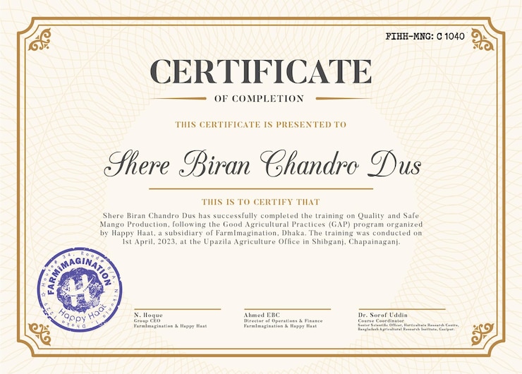 Vector del certificado
