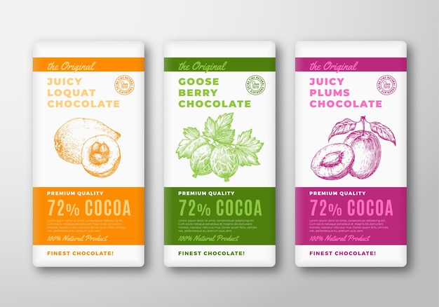 Vector de chocolate etiquetas de diseño de empaque dibujado a mano níspero grosella espinosa bayas ciruela fondo de fruta