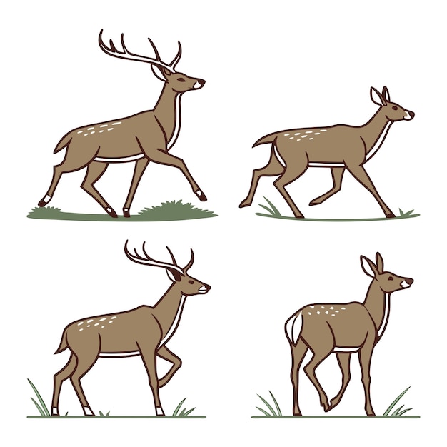 vector de ciervo