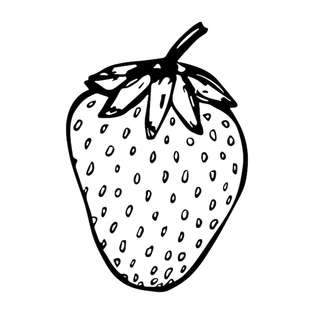 Vector clipart de fresa Icono de baya dibujado a mano Ilustración de fruta Para decoración de diseño web de impresión