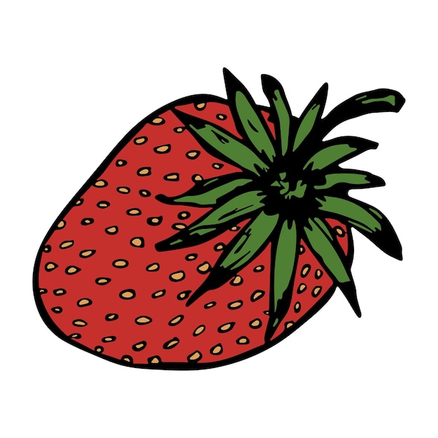 Vector clipart de fresa Icono de baya dibujado a mano Ilustración de fruta Para decoración de diseño web de impresión