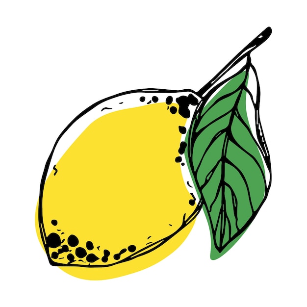 Vector clipart de limón Icono de cítricos dibujado a mano Ilustración de fruta Para decoración de diseño web de impresión