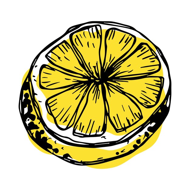 Vector clipart de limón icono de cítricos dibujado a mano ilustración de fruta para decoración de diseño web de impresión