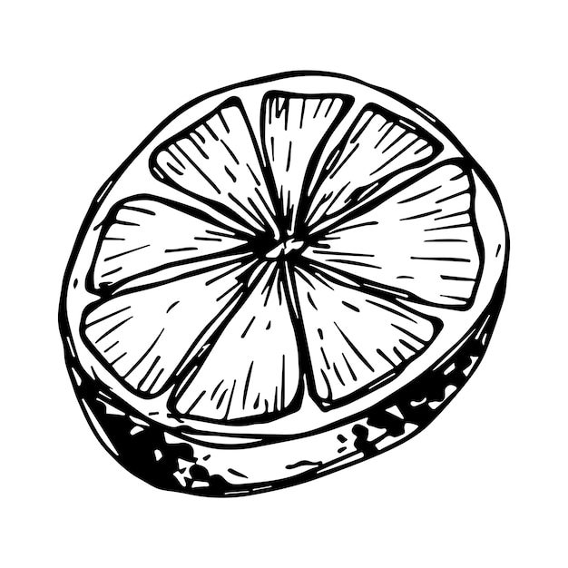 Vector clipart de limón Icono de cítricos dibujado a mano Ilustración de fruta Para decoración de diseño web de impresión