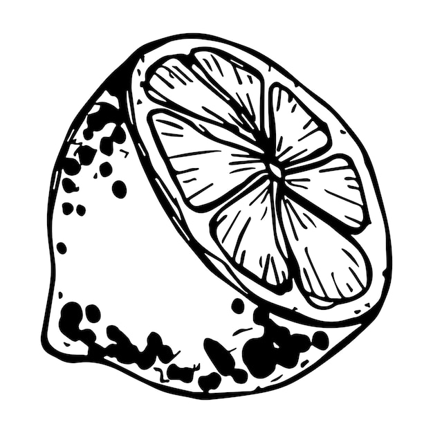 Vector clipart de limón icono de cítricos dibujado a mano ilustración de fruta para decoración de diseño web de impresión