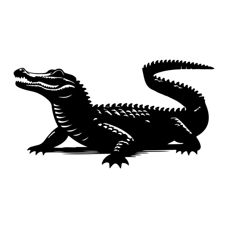 Vector vector de cocodrilo en fondo blanco