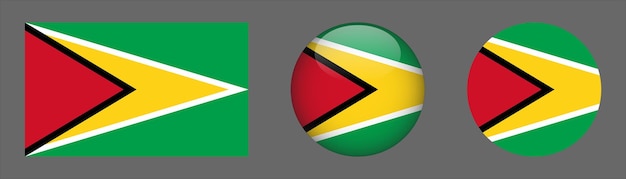 Vector de colección de conjunto de bandera de Guyana