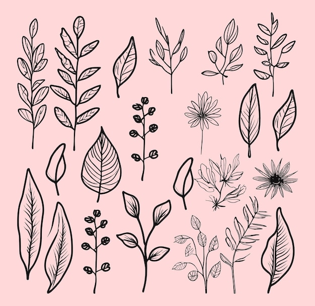 Vector de colección de doodle de varias hojas