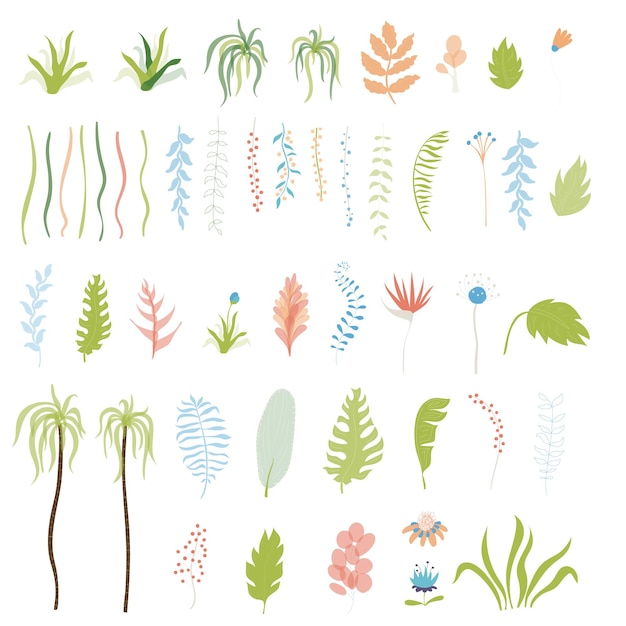 Vector de colección de hojas y flores exóticas tropicales. Conjunto de hojas de selva dibujadas a mano de dibujos animados