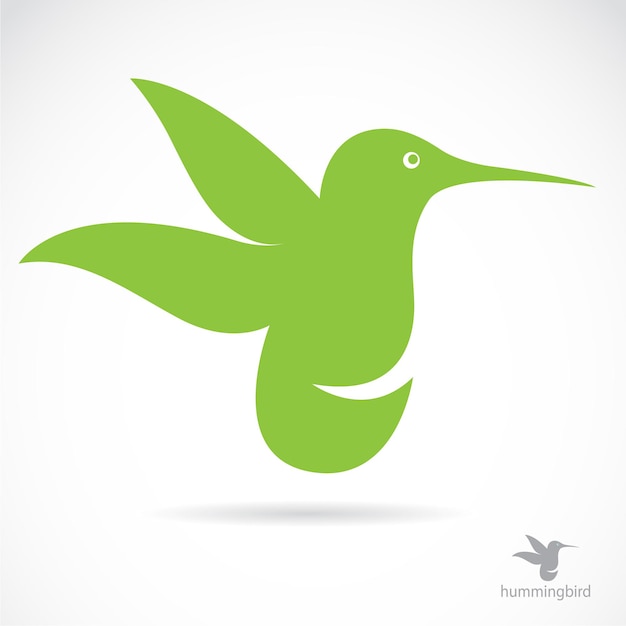 Vector de colibrí sobre fondo blanco Ilustración vectorial en capas fácil de editar