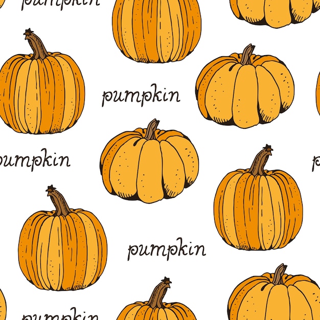 Vector de color de calabaza con patrón sin costuras dibujado a mano