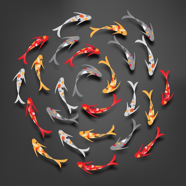 vector de color de pez koi
